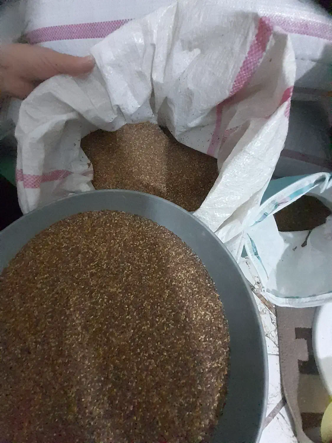 کنجد درجه یک  قهوه ای|عمده‌فروشی|سرپل ذهاب, |دیوار