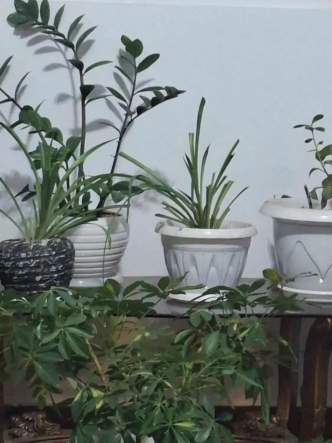 منشی کافی نت|استخدام رایانه و فناوری اطلاعات|مبارکه, |دیوار