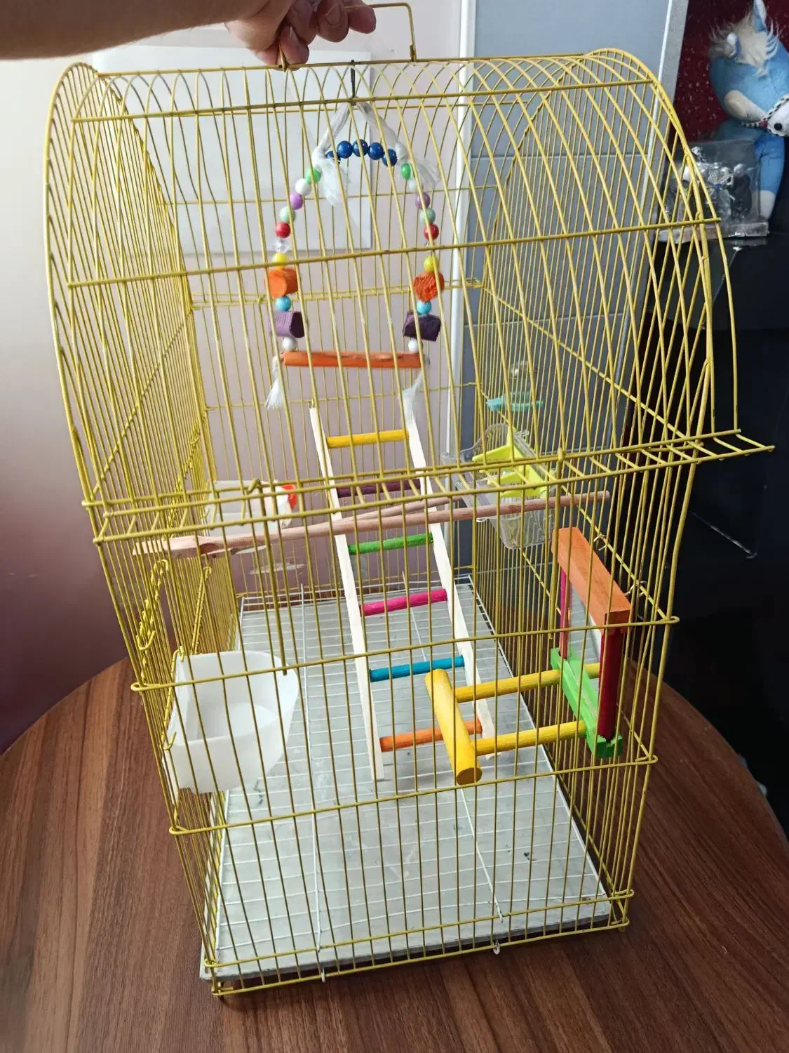 قفس|لوازم جانبی حیوانات|تبریز, |دیوار