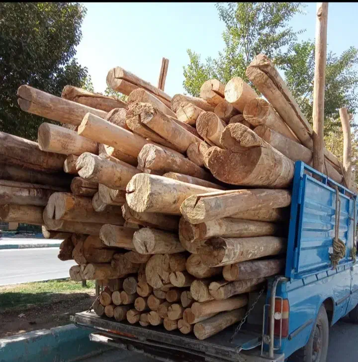 خرید چوب|خدمات باغبانی و درختکاری|یاسوج, |دیوار