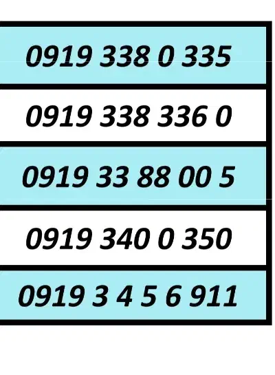 0919.30.40.914|سیمکارت|تهران, گلستان (شهرک راه آهن)|دیوار