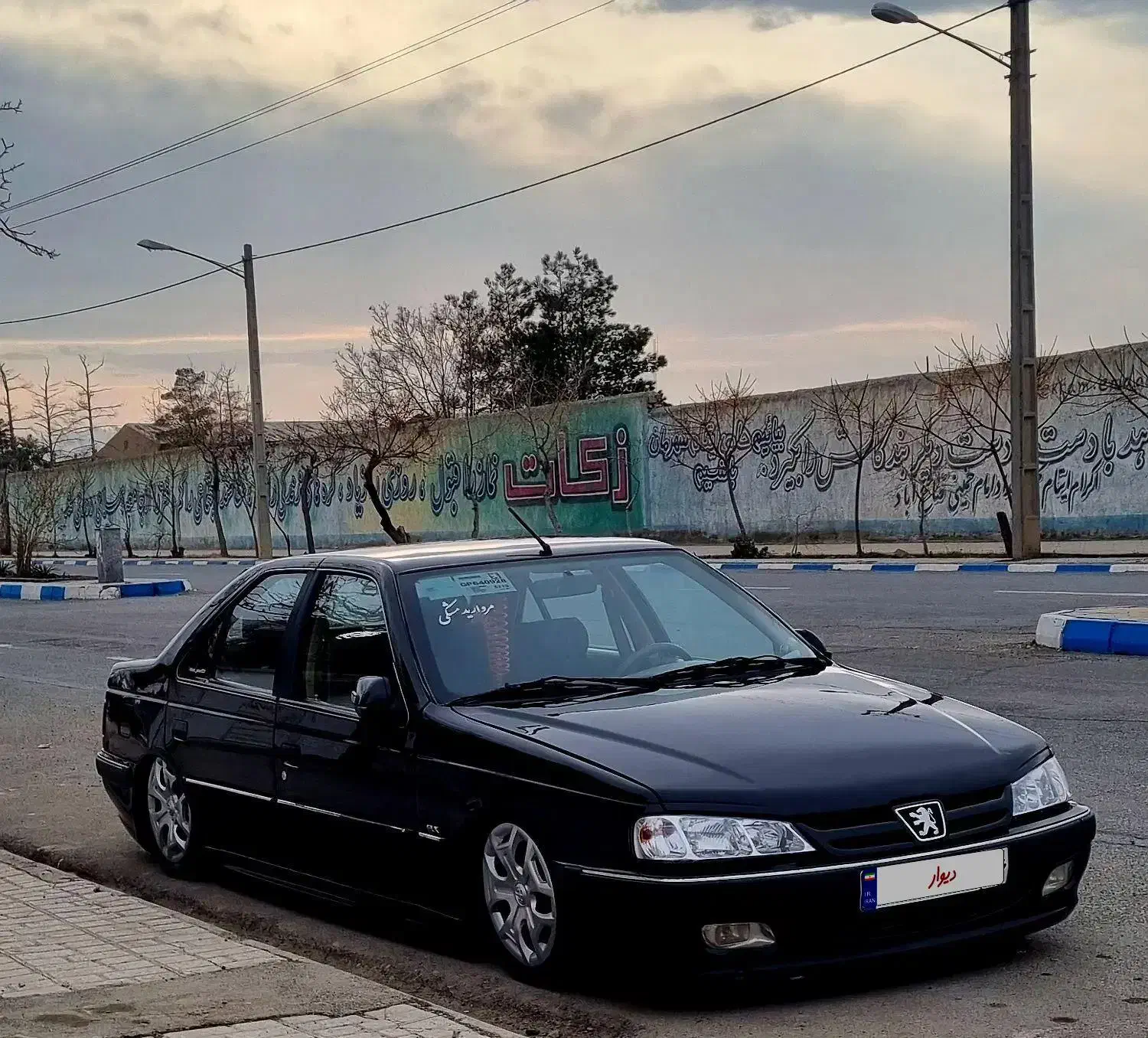 پژوپارس|خودرو سواری و وانت|شاندیز, |دیوار