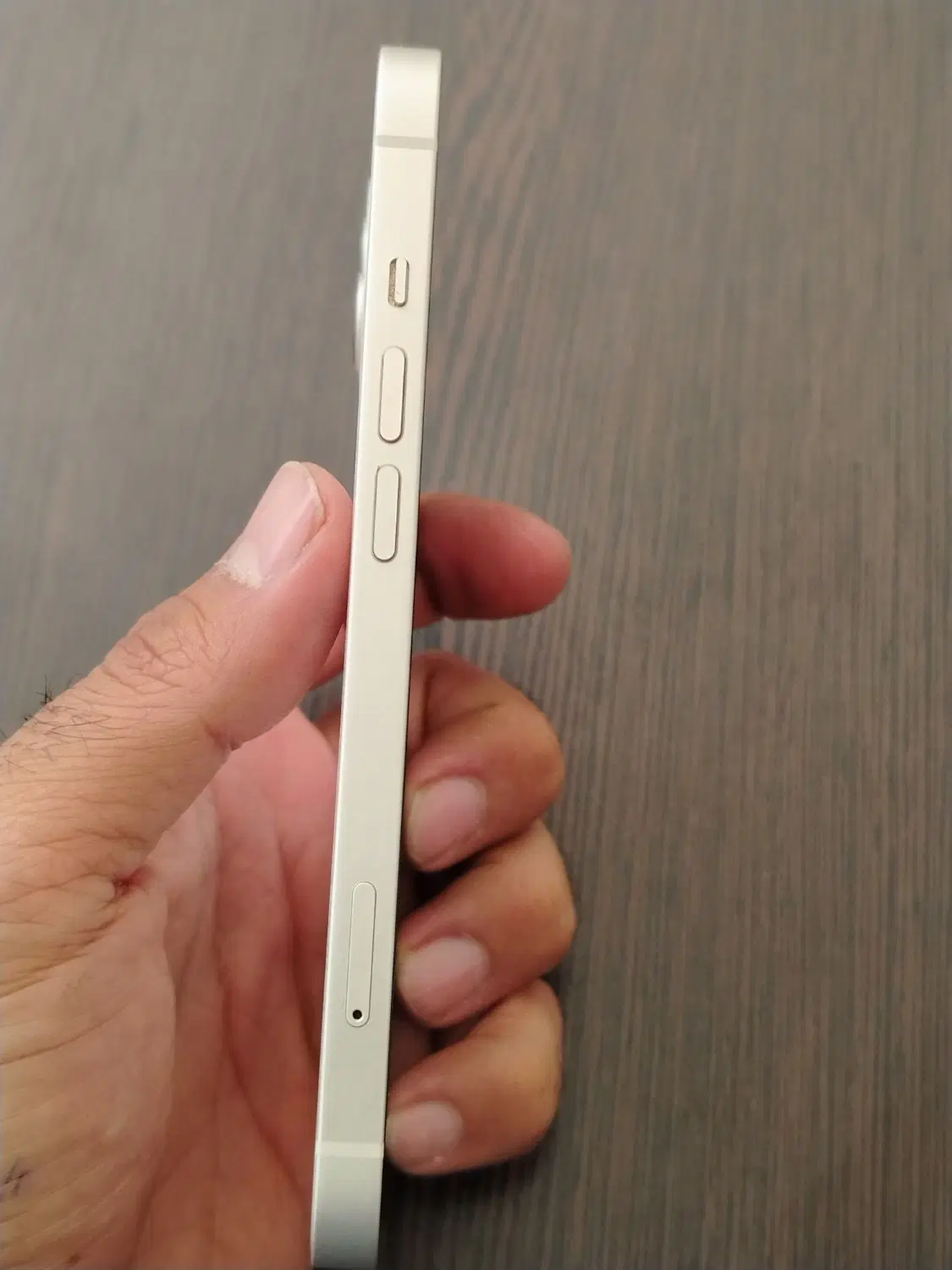 iphone 13 normal|موبایل|سنندج, |دیوار