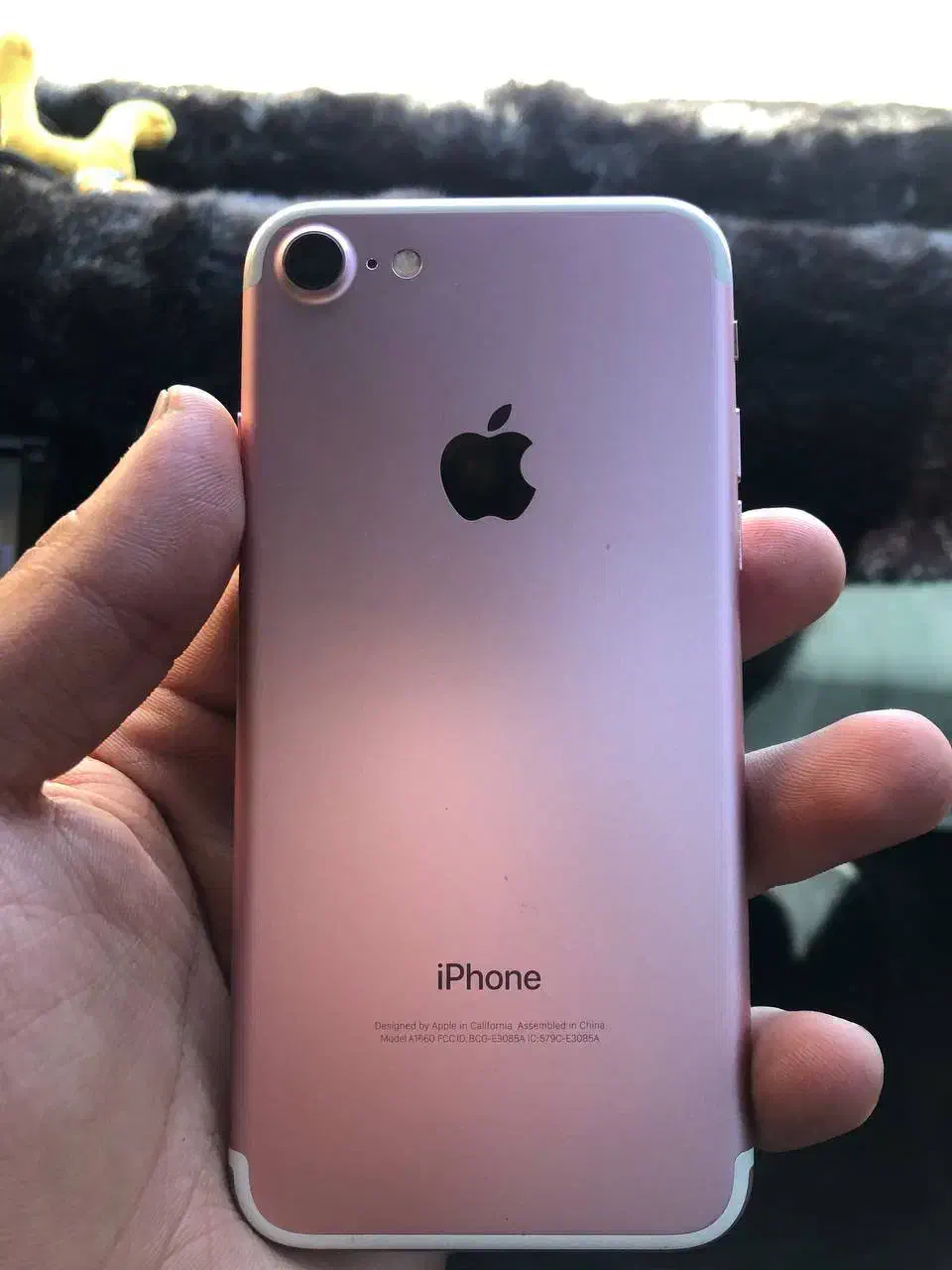 iPhone 7|موبایل|قم, هفت تیر|دیوار