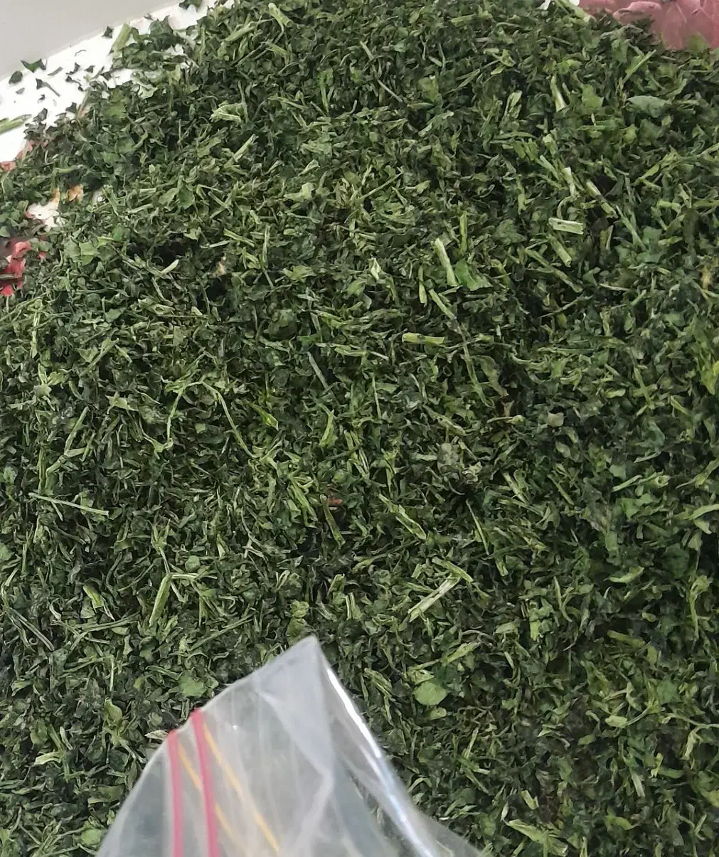 انواع سبزی خشک و تر موجود میباشد|خوردنی و آشامیدنی|حمیدیه, |دیوار