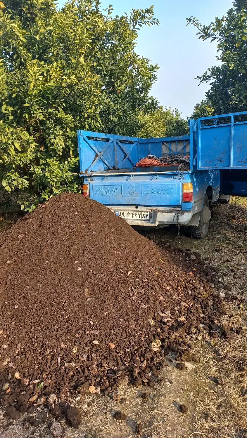 کود حیوانی گاوی گوسفندی|خدمات باغبانی و درختکاری|مرزیکلا, |دیوار