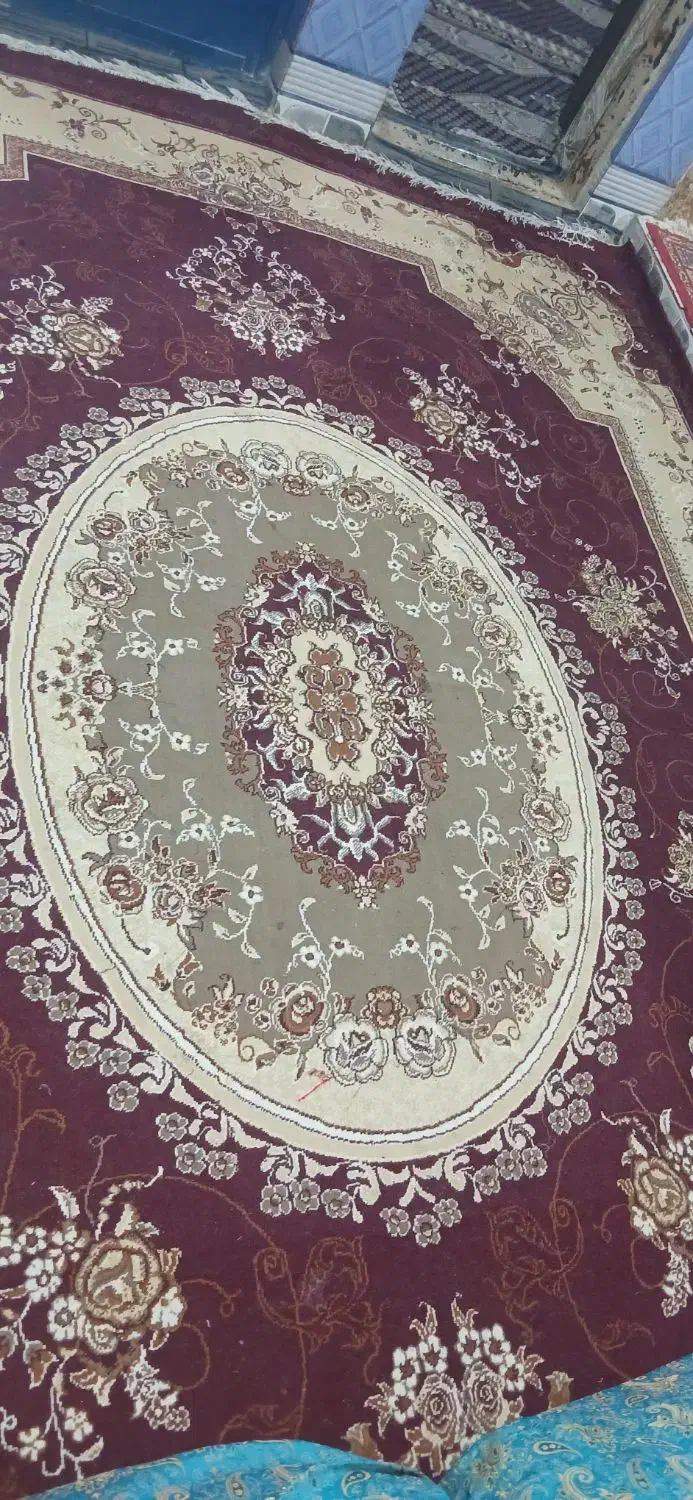 فرش سالم|فرش|زاهدان, |دیوار