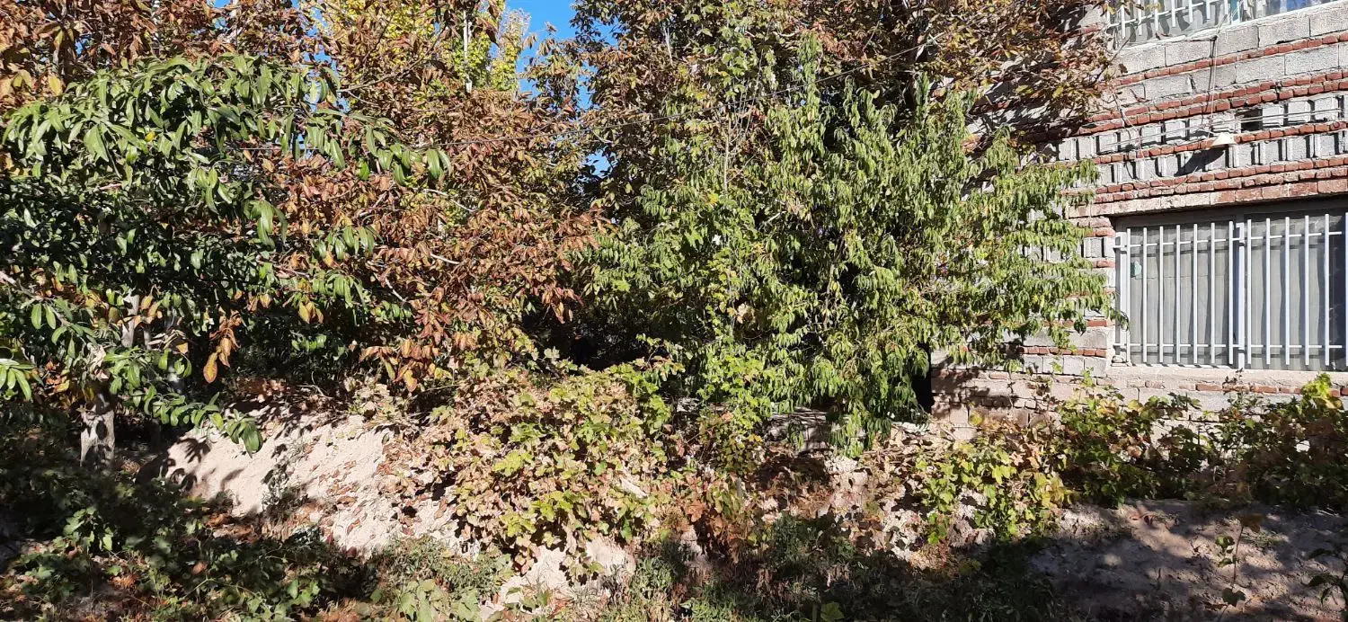 ا شراکت در بهره برداری باغ در بناب|استخدام مالی، حسابداری، حقوقی|بناب, |دیوار