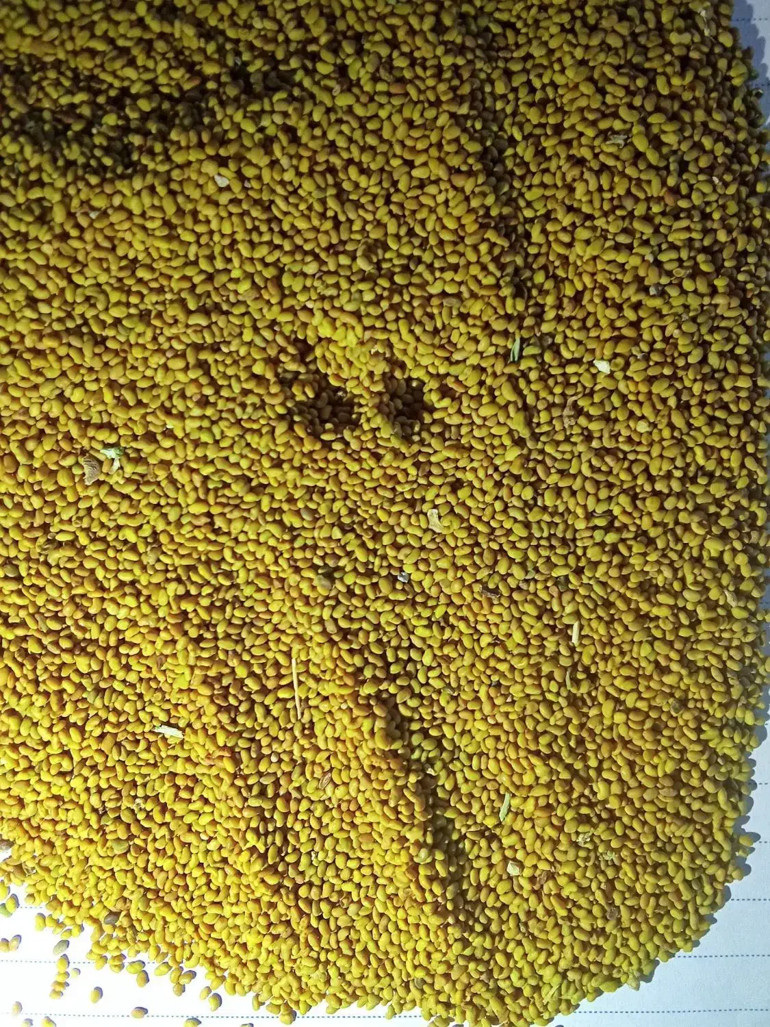 بذریونجه|گل و گیاه طبیعی|چهاربرج, |دیوار