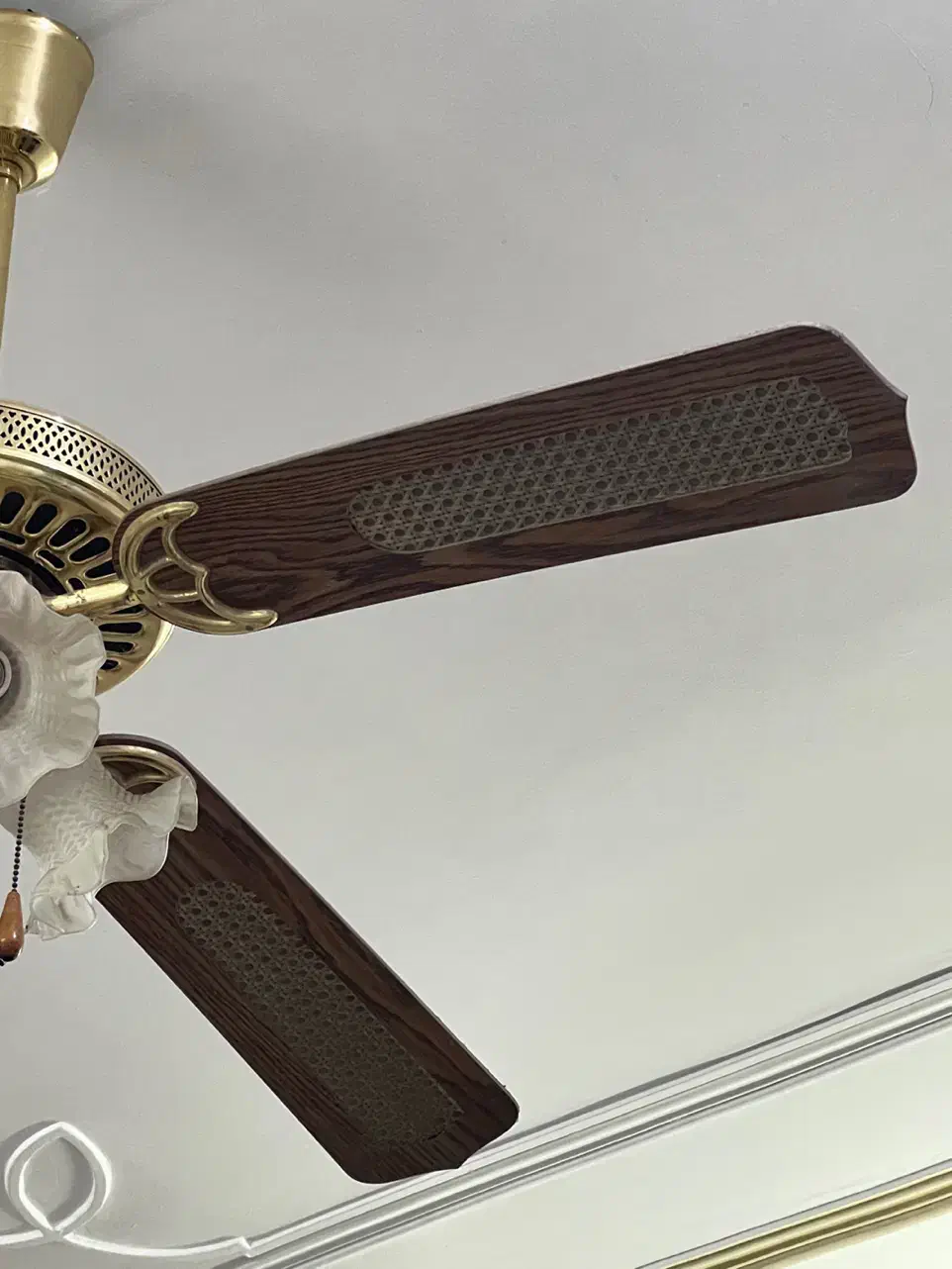 پنکه قدیمی|پنکه و تصفیهکنندهٔ هوا|لار, |دیوار