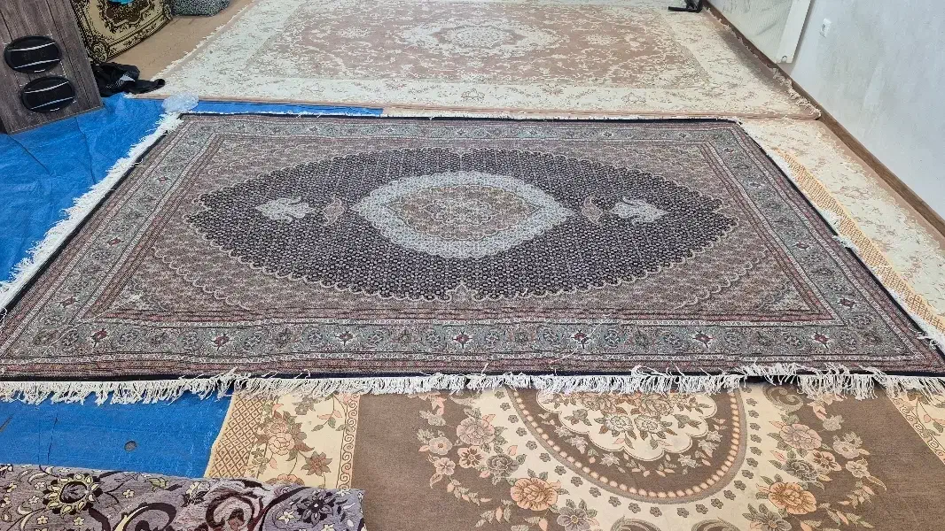 فرش دستباف باف ۶متری نو|فرش|اردبیل, |دیوار