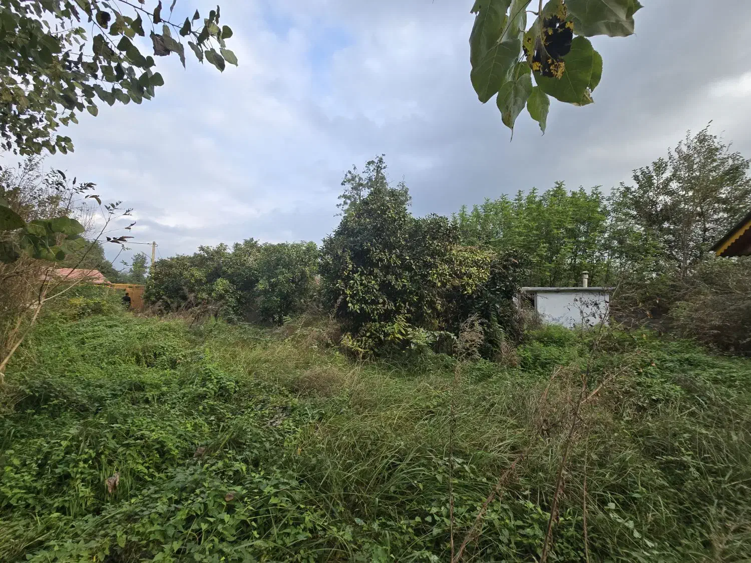 ۲۷۰۰ متر زمین با ویلا و سند ششدانگ|فروش خانه و ویلا|رضوانشهر, |دیوار