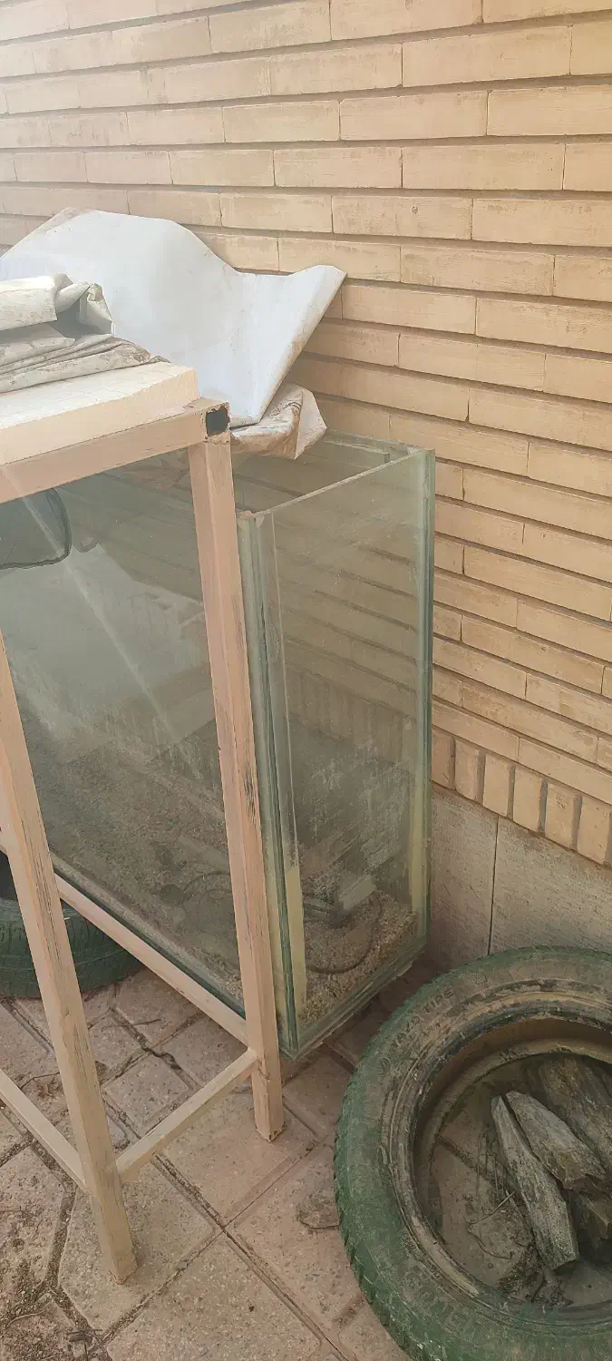 آکواریوم|ماهی|شاهین‌شهر, شهرک ردانی پور|دیوار