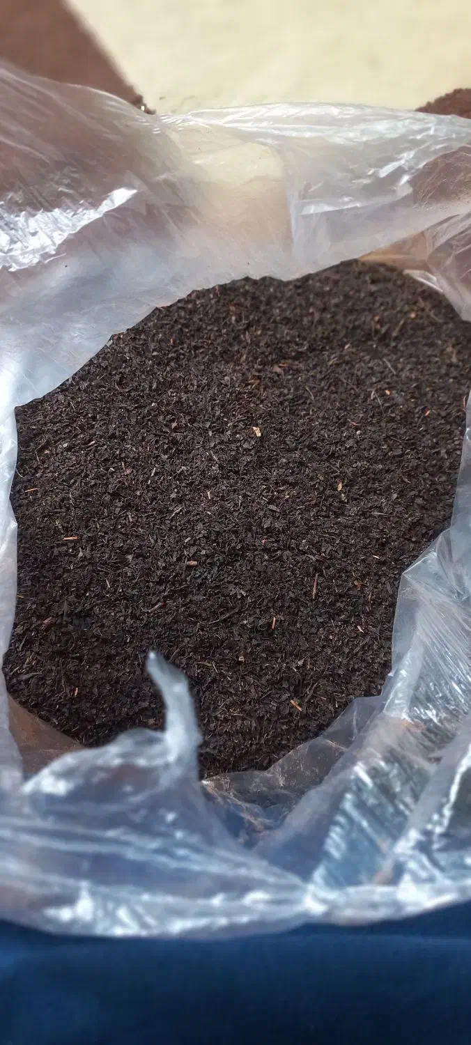 چای|خوردنی و آشامیدنی|قم, شهرک امام حسن|دیوار