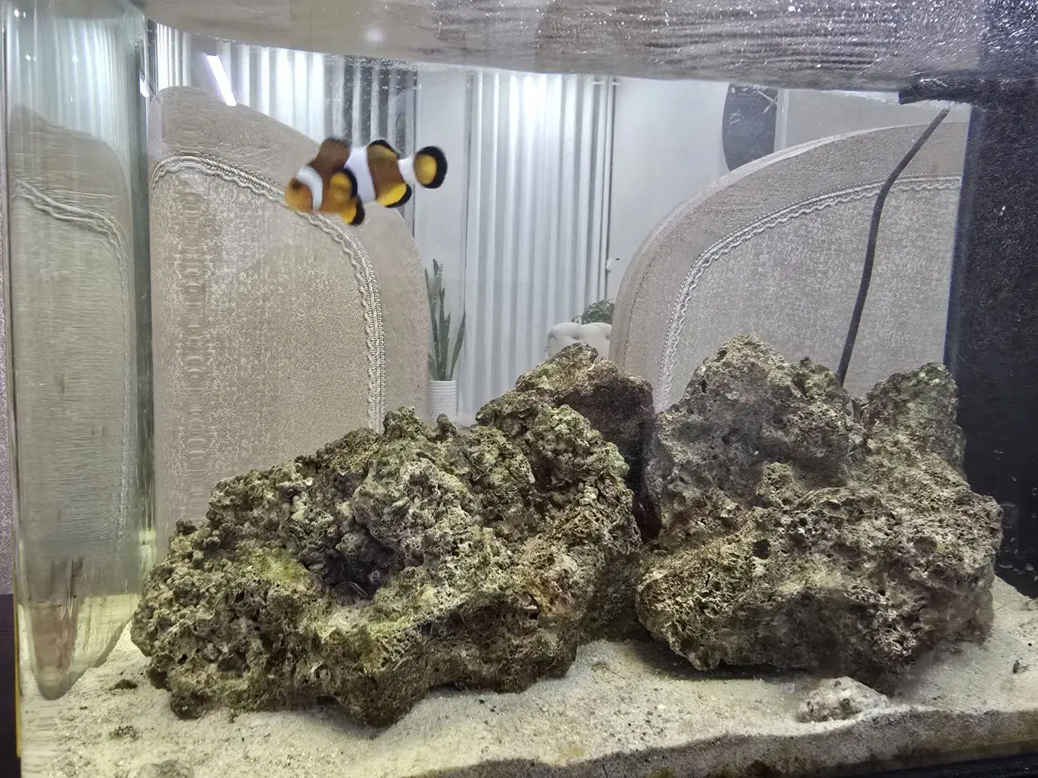 آکواریوم آب شور|ماهی|چمران, |دیوار