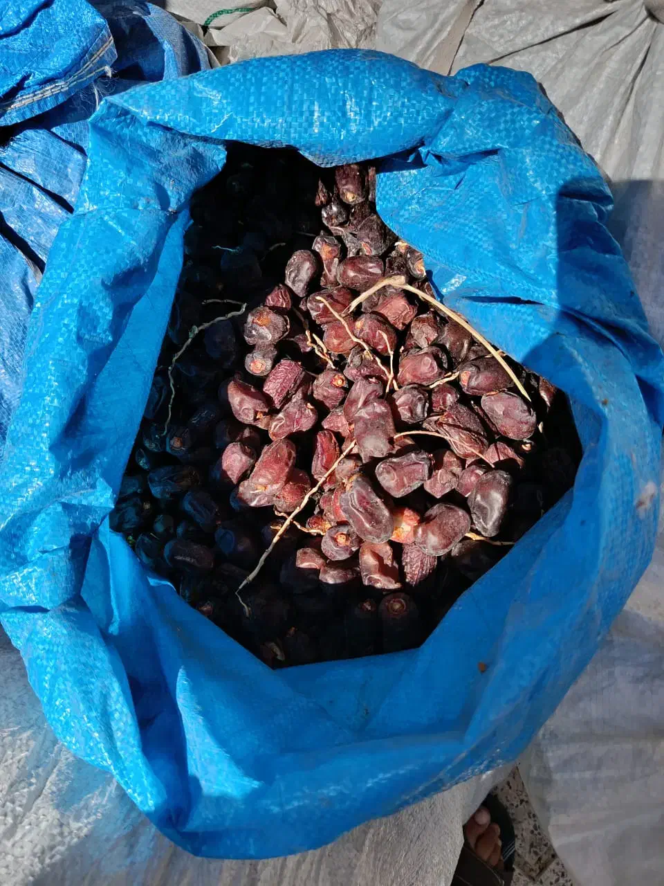 فروش ضایعات خرما|عمدهفروشی|ارزوئیه, |دیوار