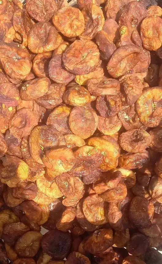 میوه خشک|خوردنی و آشامیدنی|پلدختر, |دیوار