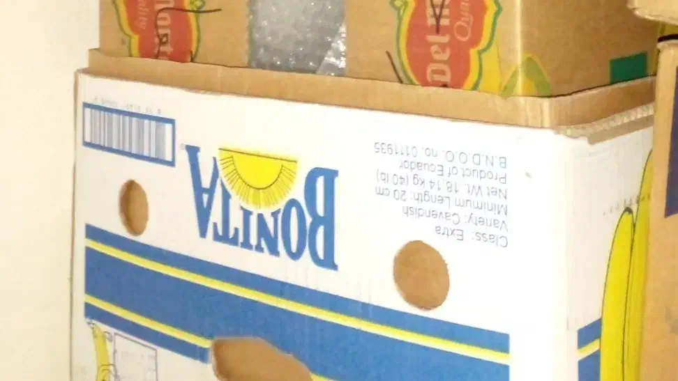 کارتن موزی|حراج|رشت, کوی عرفان|دیوار