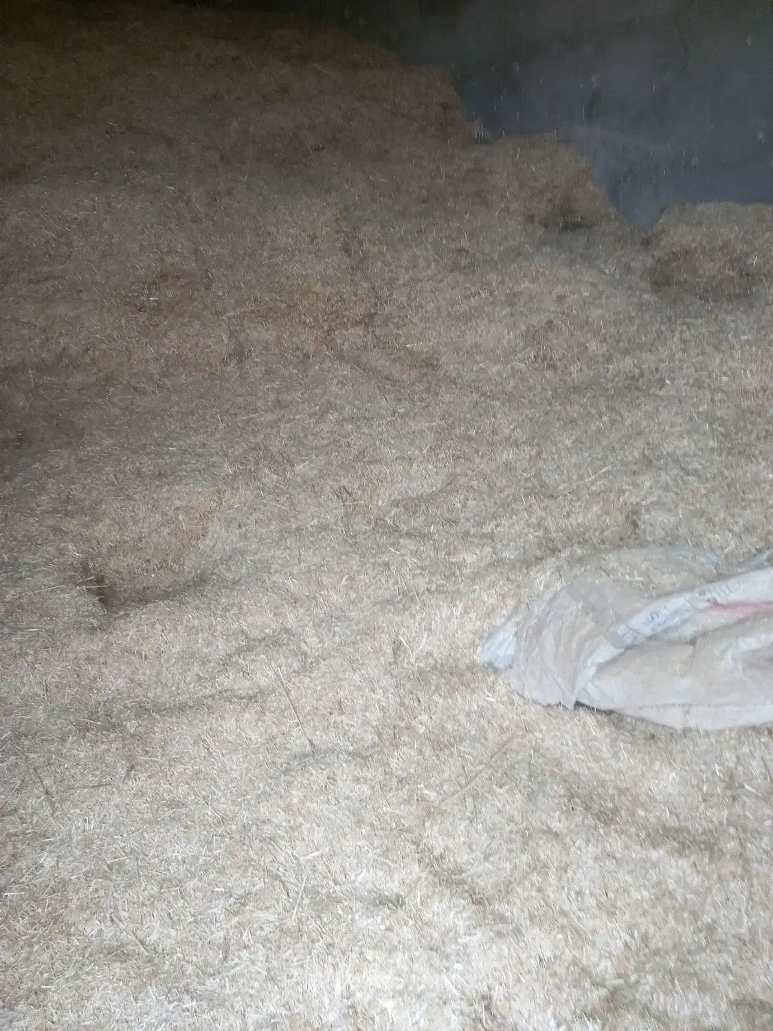 کاه|لوازم جانبی حیوانات|شادگان, |دیوار