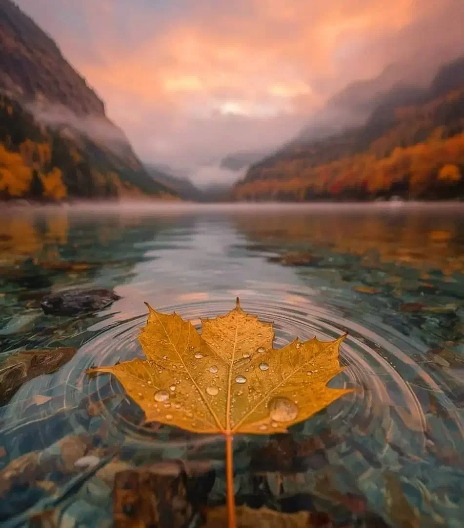 راهنمایی میخوام|فعالیت داوطلبانه تحقیقاتی|زاهدان, |دیوار