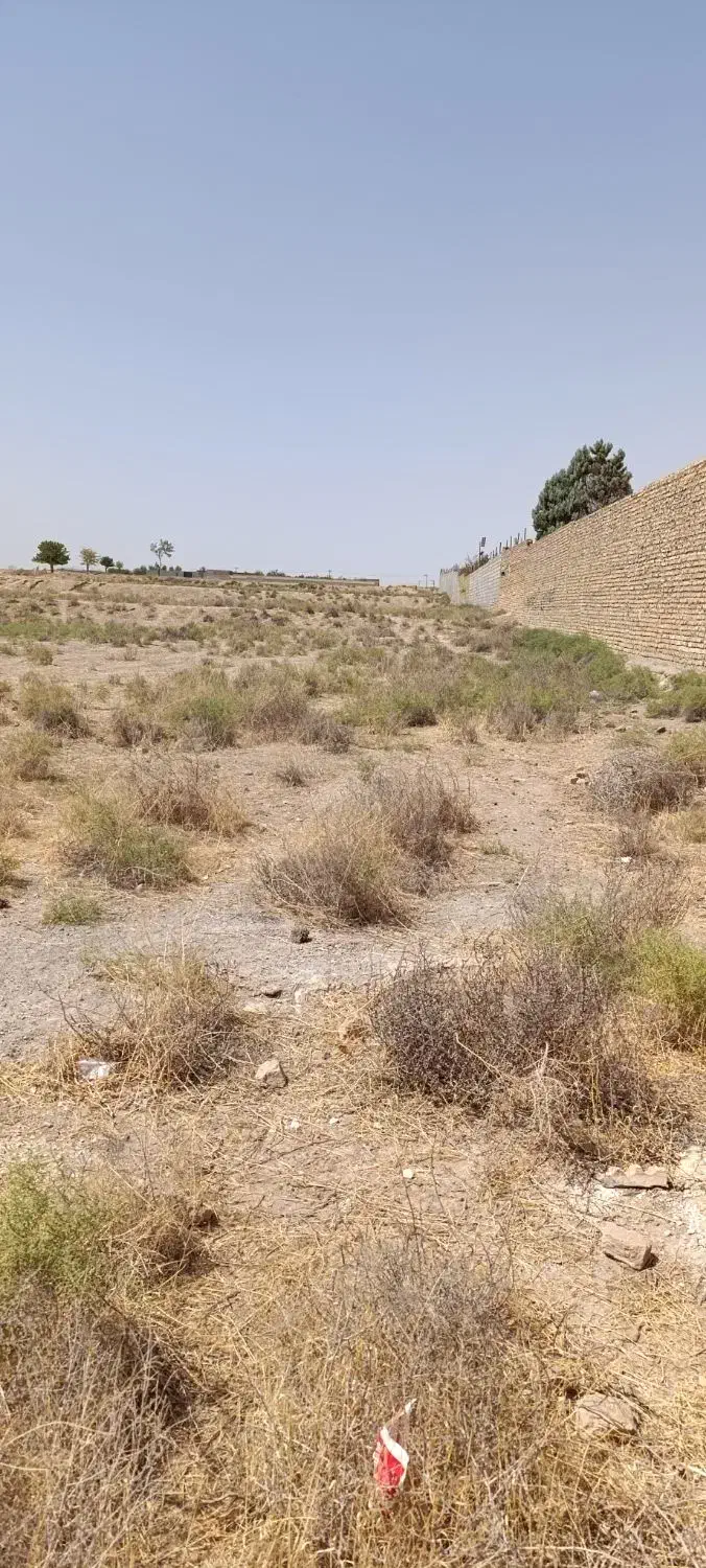 فروش ۵۸۰۰ متری در خواجه ربیع|فروش زمین و ملک کلنگی|مشهد, خرم آباد|دیوار