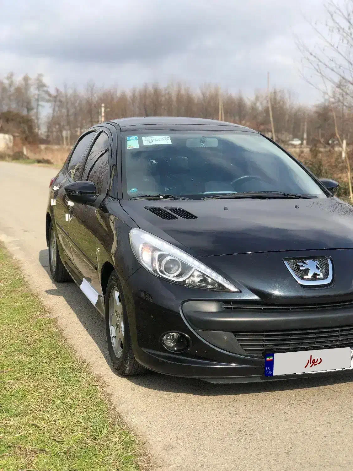 207 سقف پانا 1402|خودرو سواری و وانت|رشت, یخسازی|دیوار