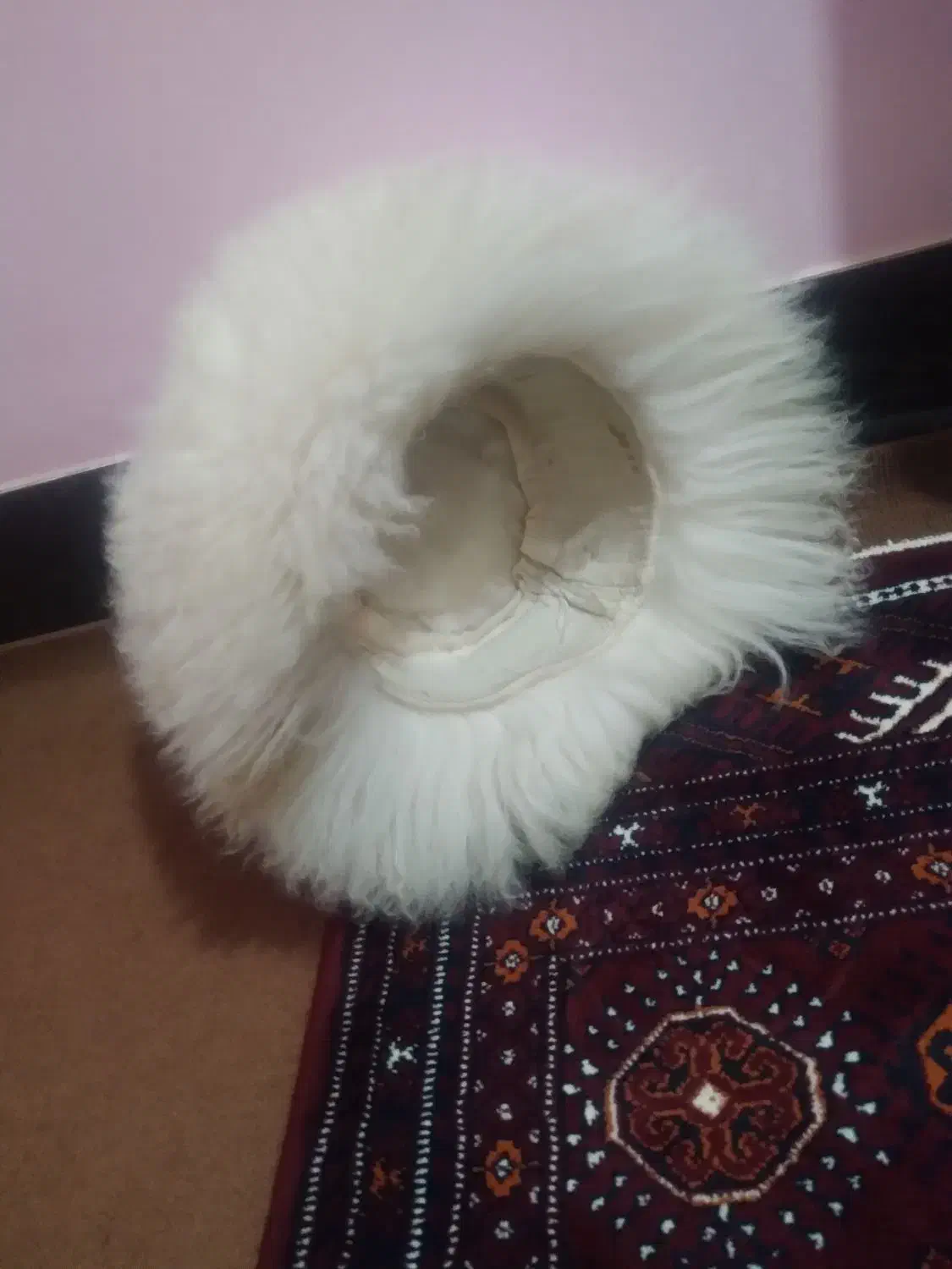 سلمگ تلفک|لباس|گنبد کاووس, |دیوار