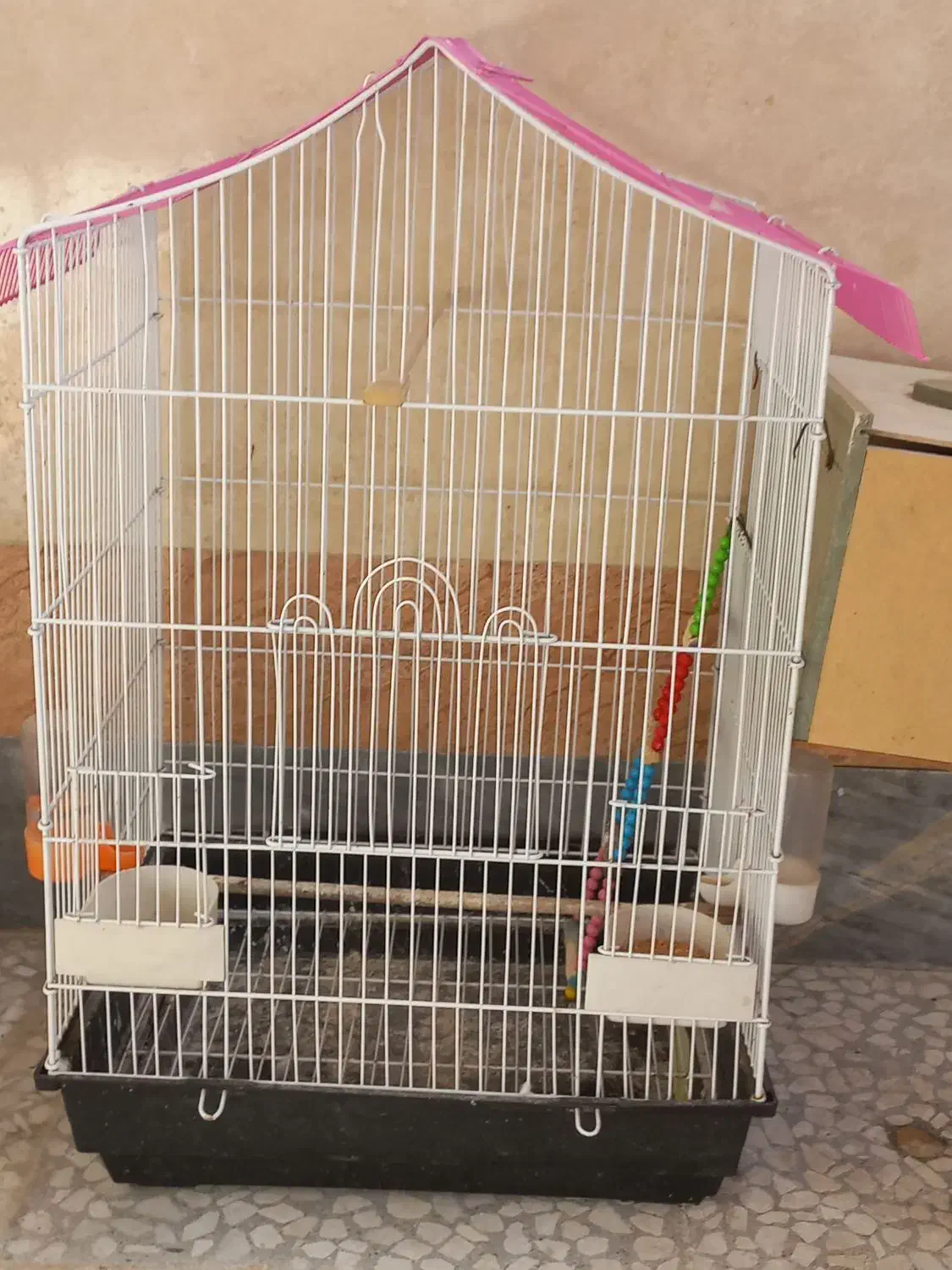 قفس بزرگ|پرنده|شادگان, |دیوار