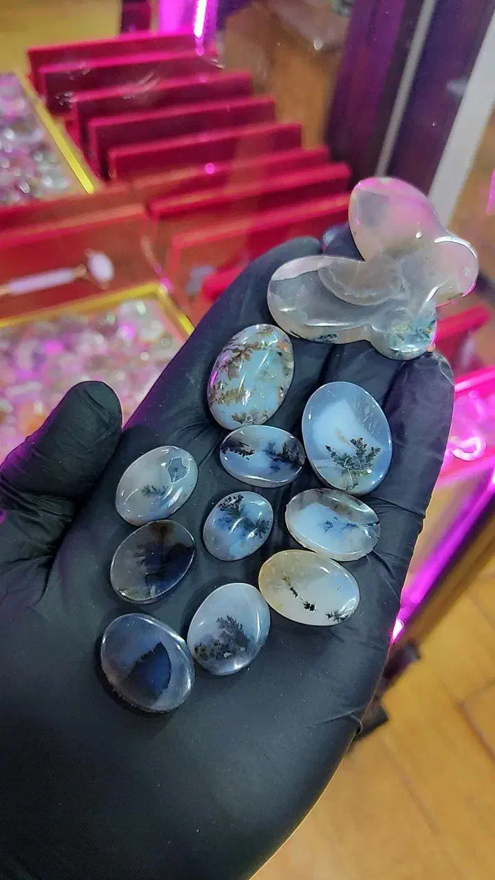 ده عدد شجر تک درخت حراج خاص|بدلیجات|ساوه, |دیوار