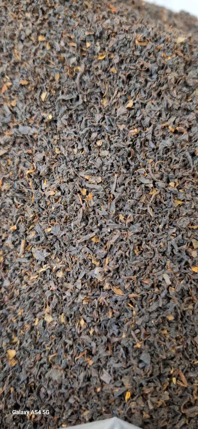 چای لاهیجان|خوردنی و آشامیدنی|لاهیجان, کوی خزر|دیوار