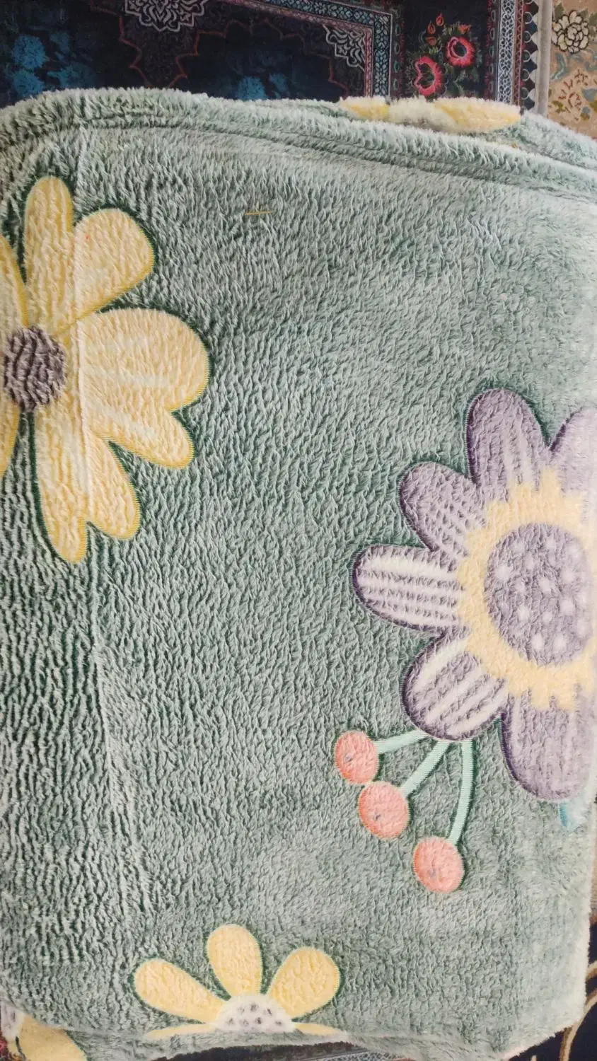 پتو مسافرتی|رختخواب، بالش، پتو|اهواز, کوروش|دیوار