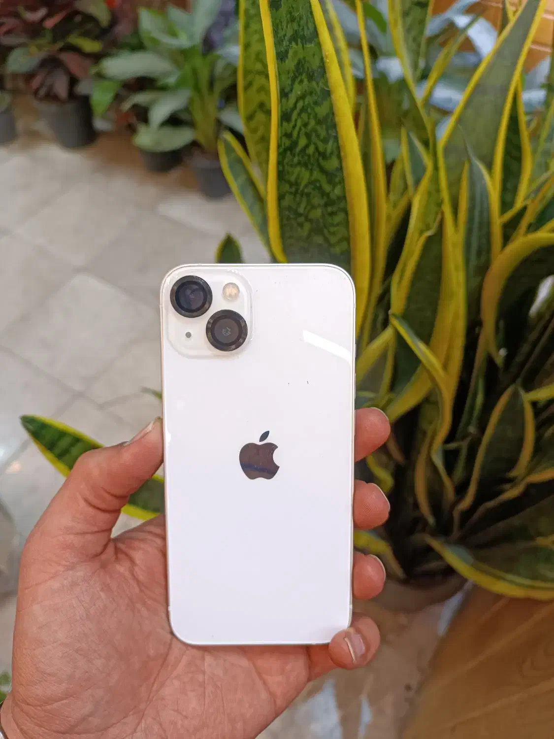 ایفون۱۳|موبایل|مشهد, ایثار|دیوار