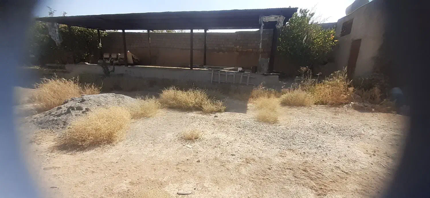 سبد ضایعاتی و کارتن موز نگهداری مشارکتی با آسیاب|عمدهفروشی|نجفآباد, قلعه سفید|دیوار