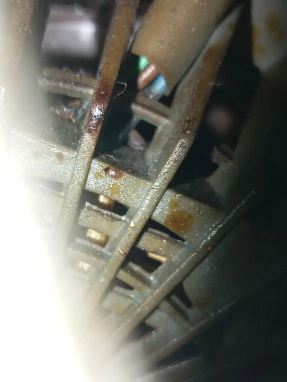 همچی سالم|هود|تربت‌حیدریه, ترمینال|دیوار