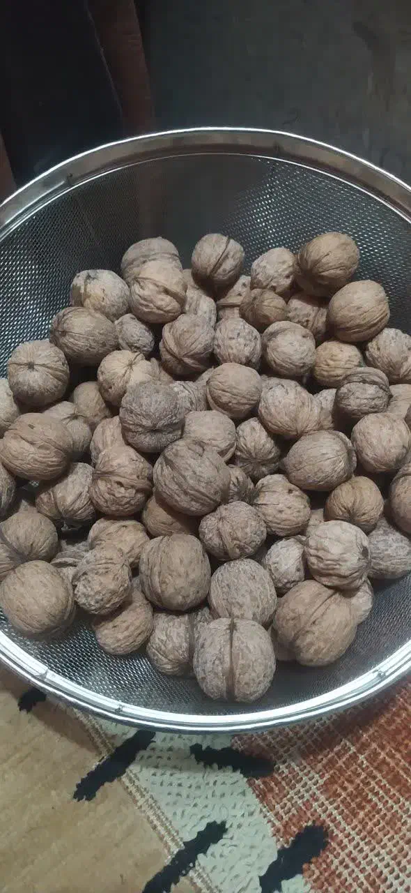 گردو استانه|خوردنی و آشامیدنی|دامغان, |دیوار