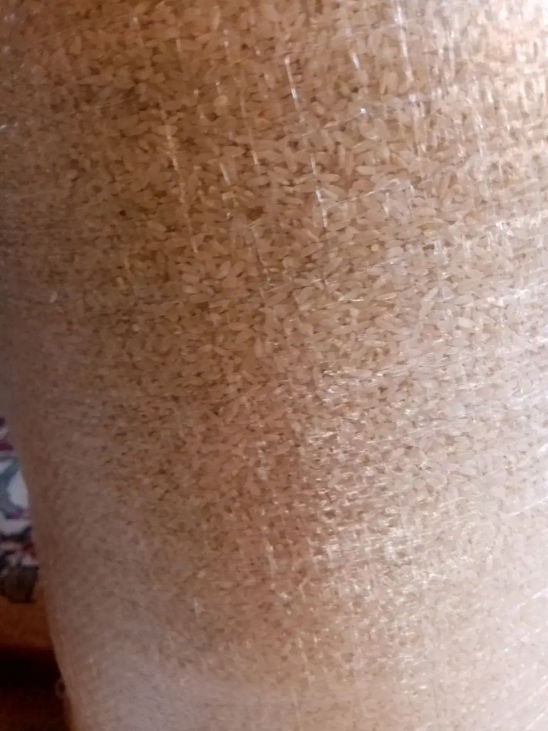 برنج کامفیروز به شرط پخت عالی|خوردنی و آشامیدنی|مرودشت, ثبت احوال|دیوار