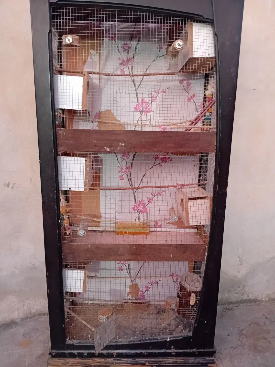 قفس ۳ طبقه بزرگ و شیک انواع پرنده|لوازم جانبی حیوانات|دوگنبدان, |دیوار