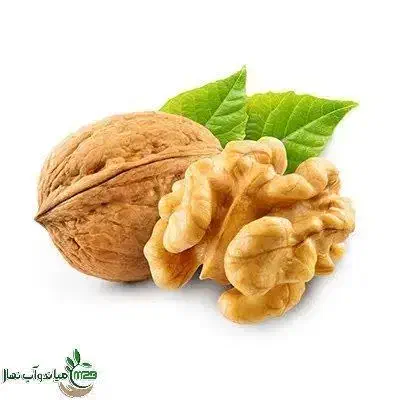 تولید و عرضه نهال گردو بلغاری|خدمات باغبانی و درختکاری|ایلام, |دیوار