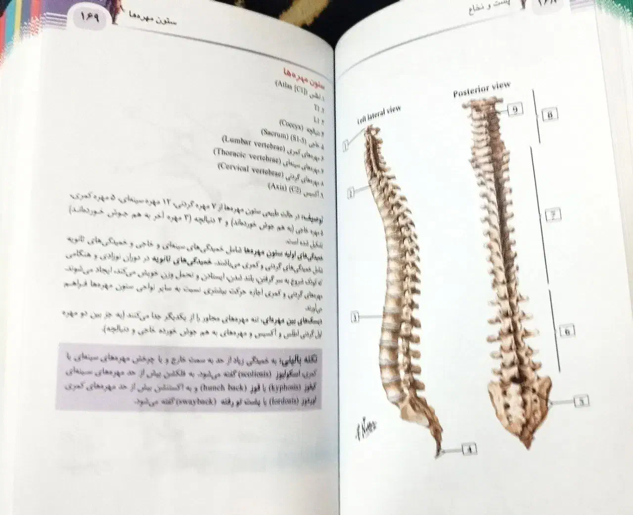 آناتومی نتر|کتاب و مجله آموزشی|تهران, اوین|دیوار