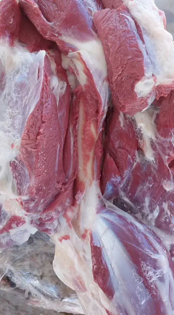 گوشت گوسفند|خوردنی و آشامیدنی|مهریز, |دیوار