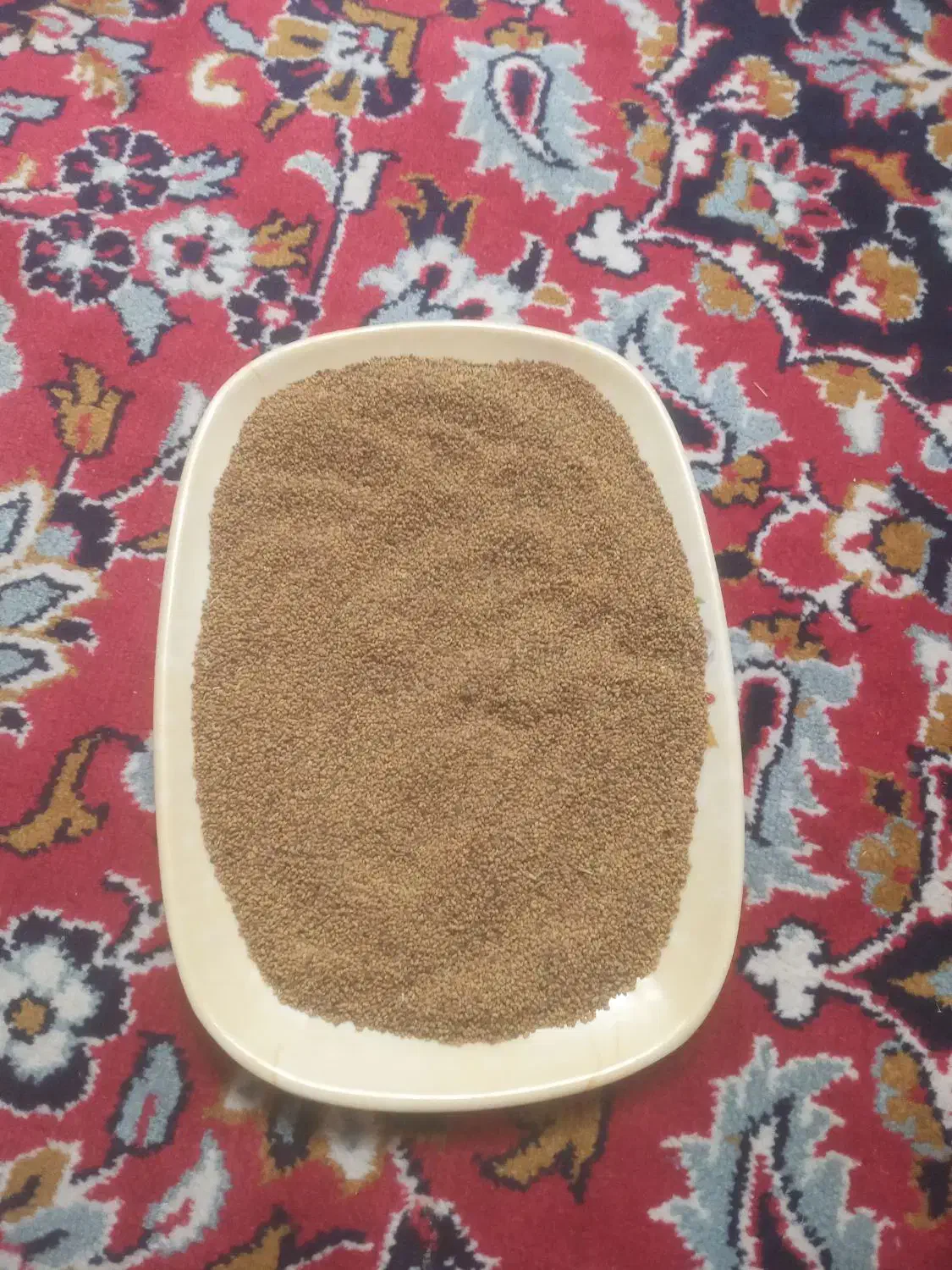 بذر یونجه|گل و گیاه طبیعی|شیبکوه (فارس), |دیوار