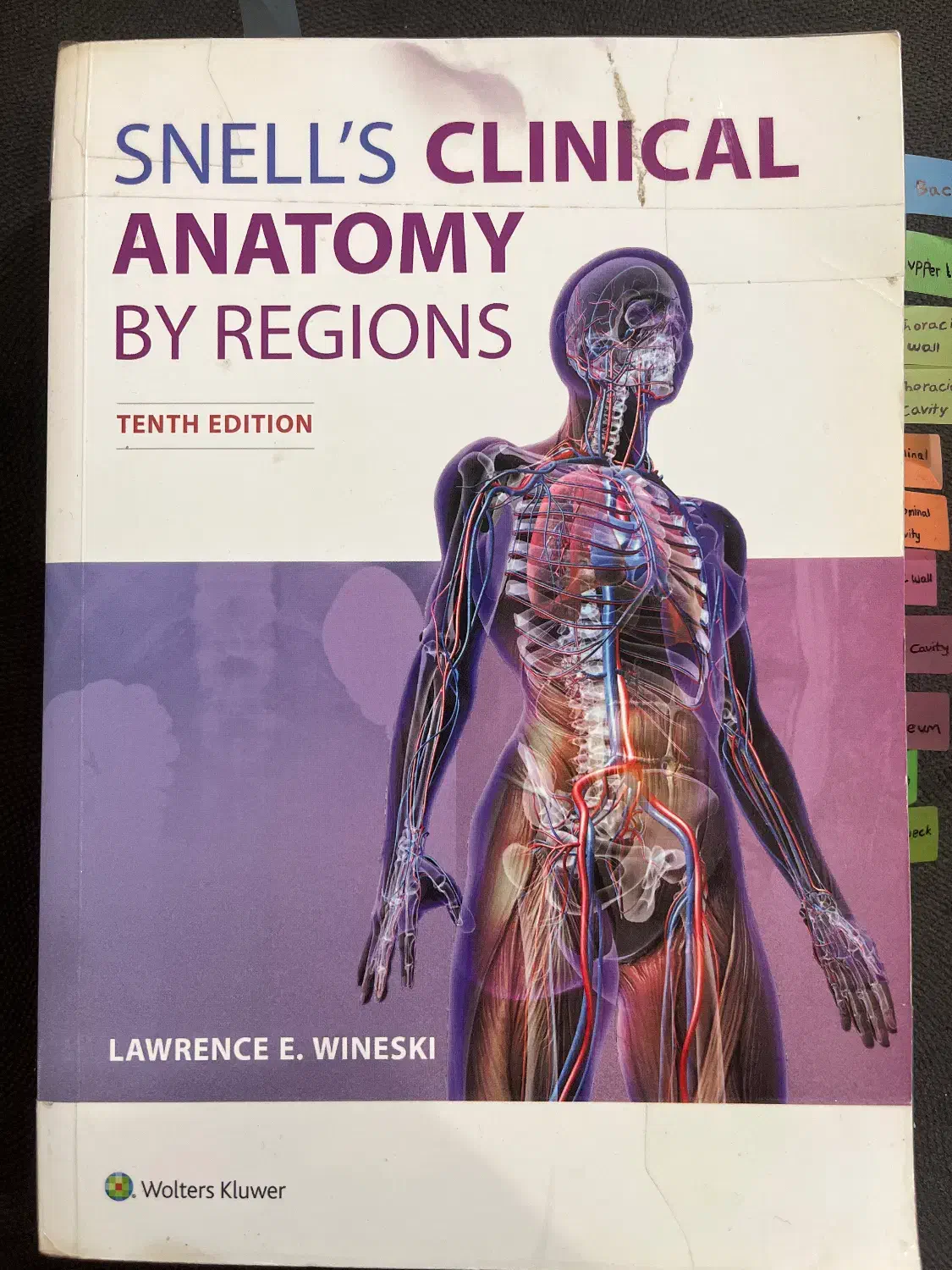 آناتومی اسنل پزشکی ویرایش ۱۰|کتاب و مجله آموزشی|رشت, منظریه|دیوار