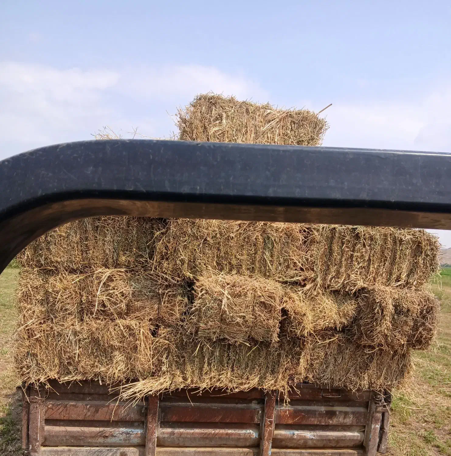 یونجه پرس شده چین دوم|خدمات باغبانی و درختکاری|دره رود, |دیوار