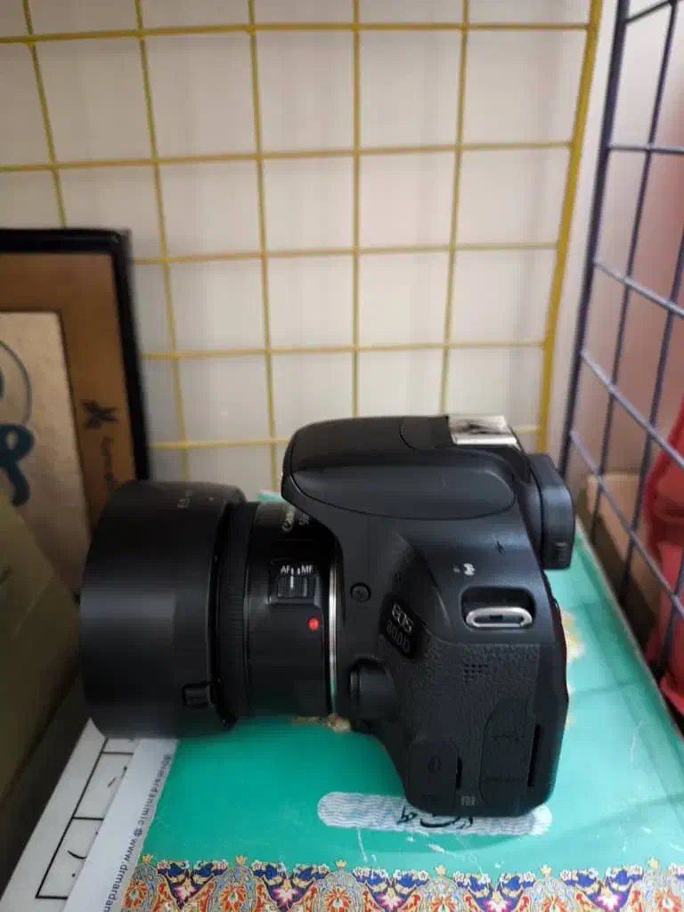 دوربین عکاسی|دوربین عکاسی و فیلم‌برداری|تهران, نبی اکرم|دیوار