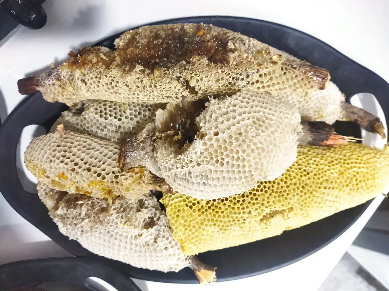 عسل وحشی کنار|خوردنی و آشامیدنی|اهواز, شهرک نفت|دیوار