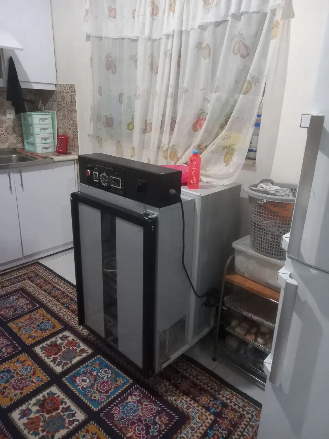 دستگاه میوه خشک کن|سایر لوازم برقی|مشهد, منزل آباد|دیوار