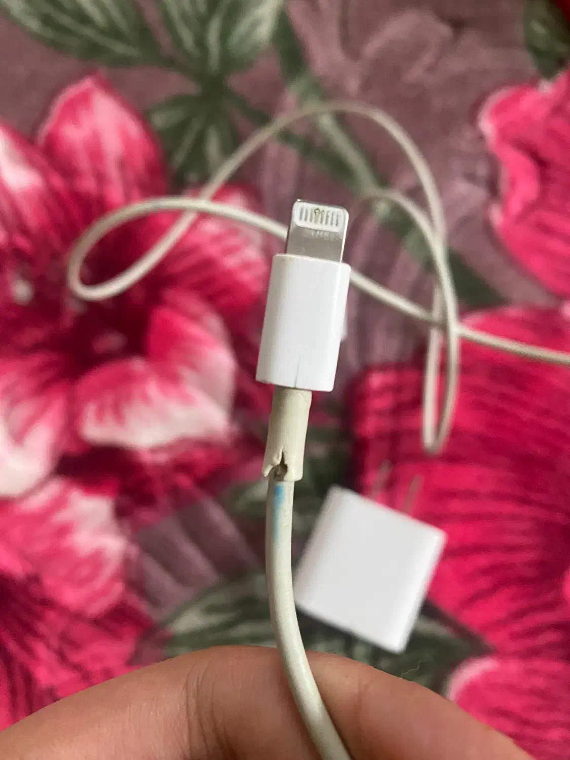 شارژر ایفون|لوازم جانبی موبایل و تبلت|سنندج, |دیوار