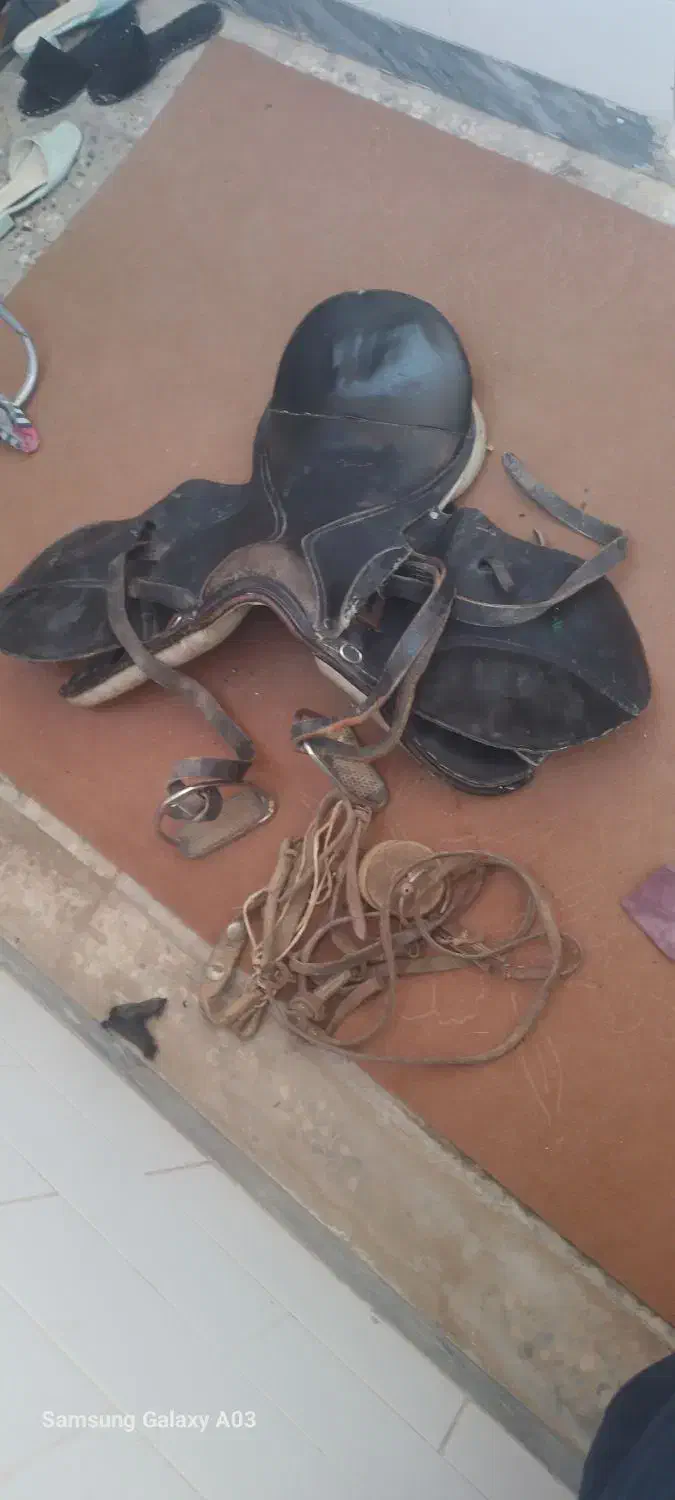 زین ودهنه|اسب و تجهیزات اسب‌سواری|شوشتر, |دیوار