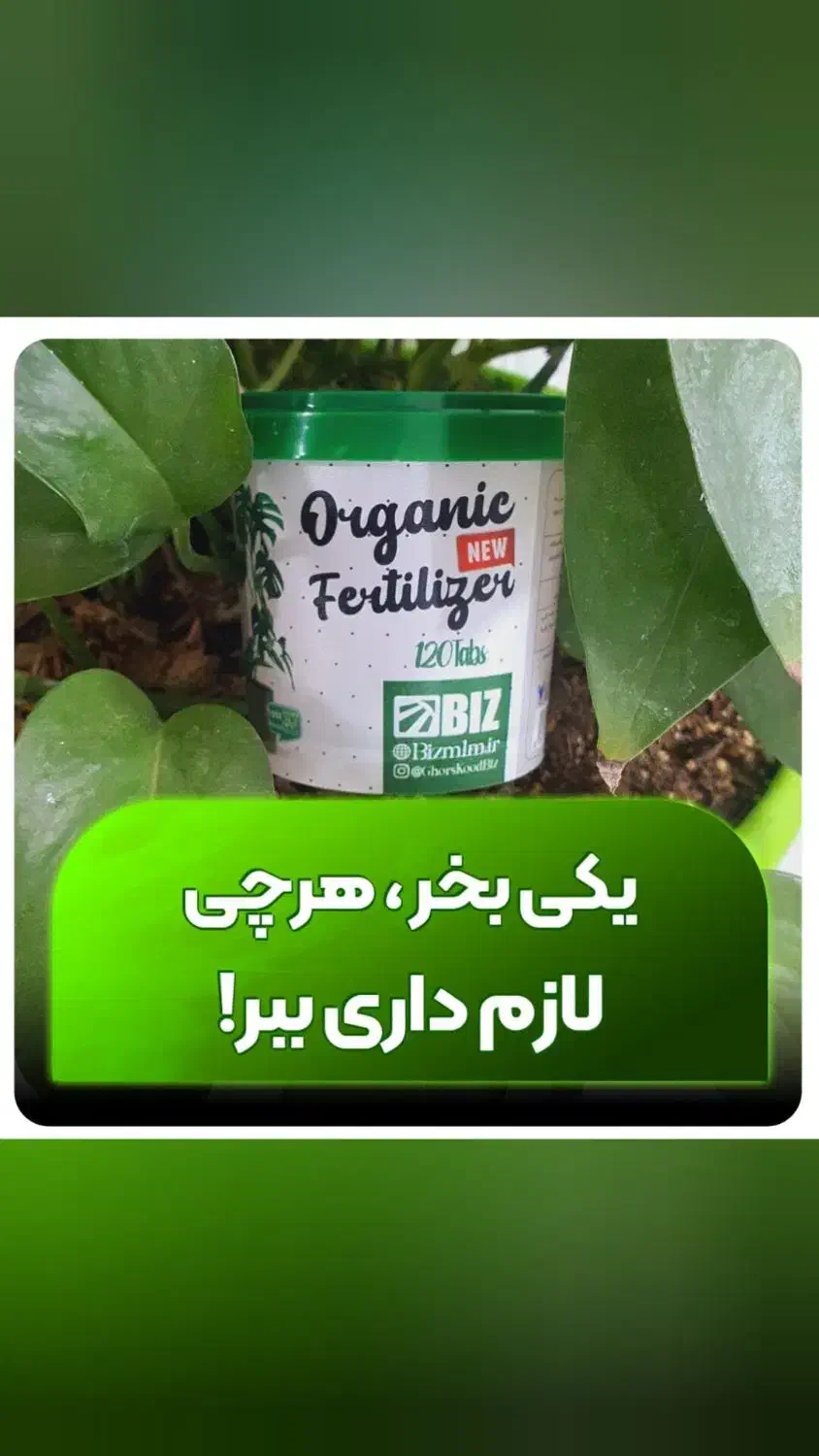 قرص کود ارگانیک بدون مواد شیمیایی/ احیای گلدون هات|گل و گیاه طبیعی|مشهد, سجاد شهر|دیوار