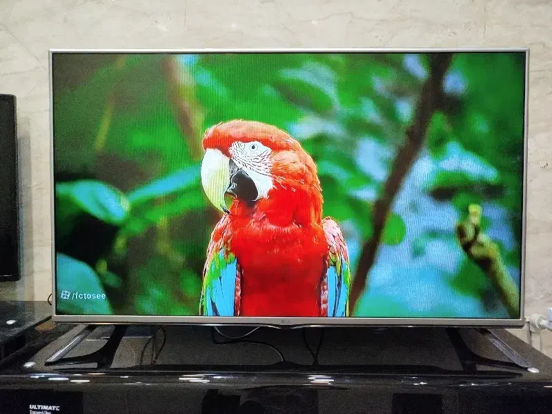 تلویزیون ۴۹ اینچ LG ال ای دی 49LF55000GI|تلویزیون و پروژکتور|ساوه, |دیوار